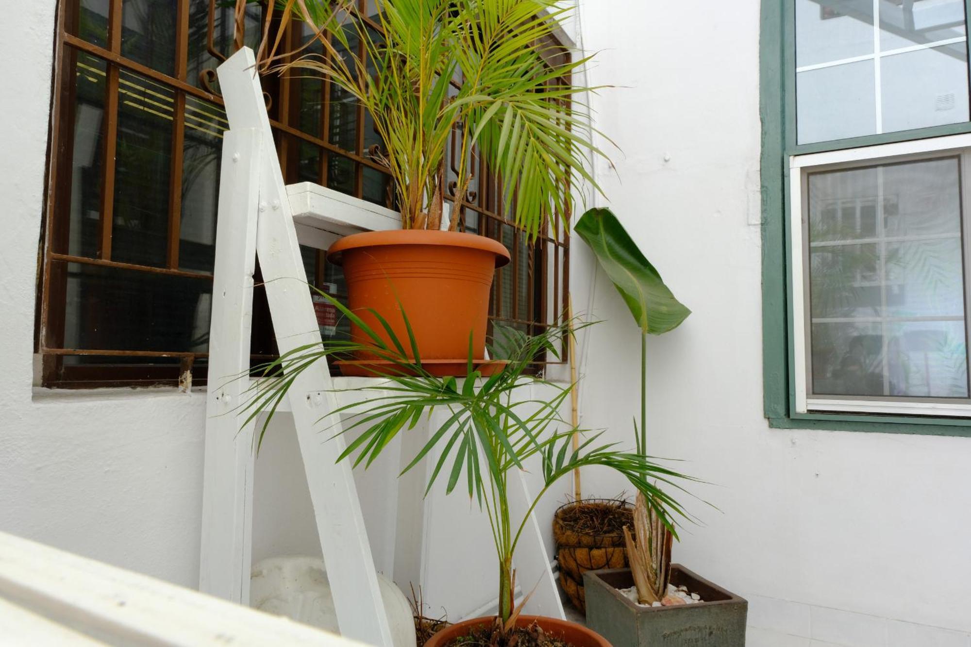 Rooftop Dreamhouse - 3Br With Seaviews Santa Cruz de la Palma  Esterno foto
