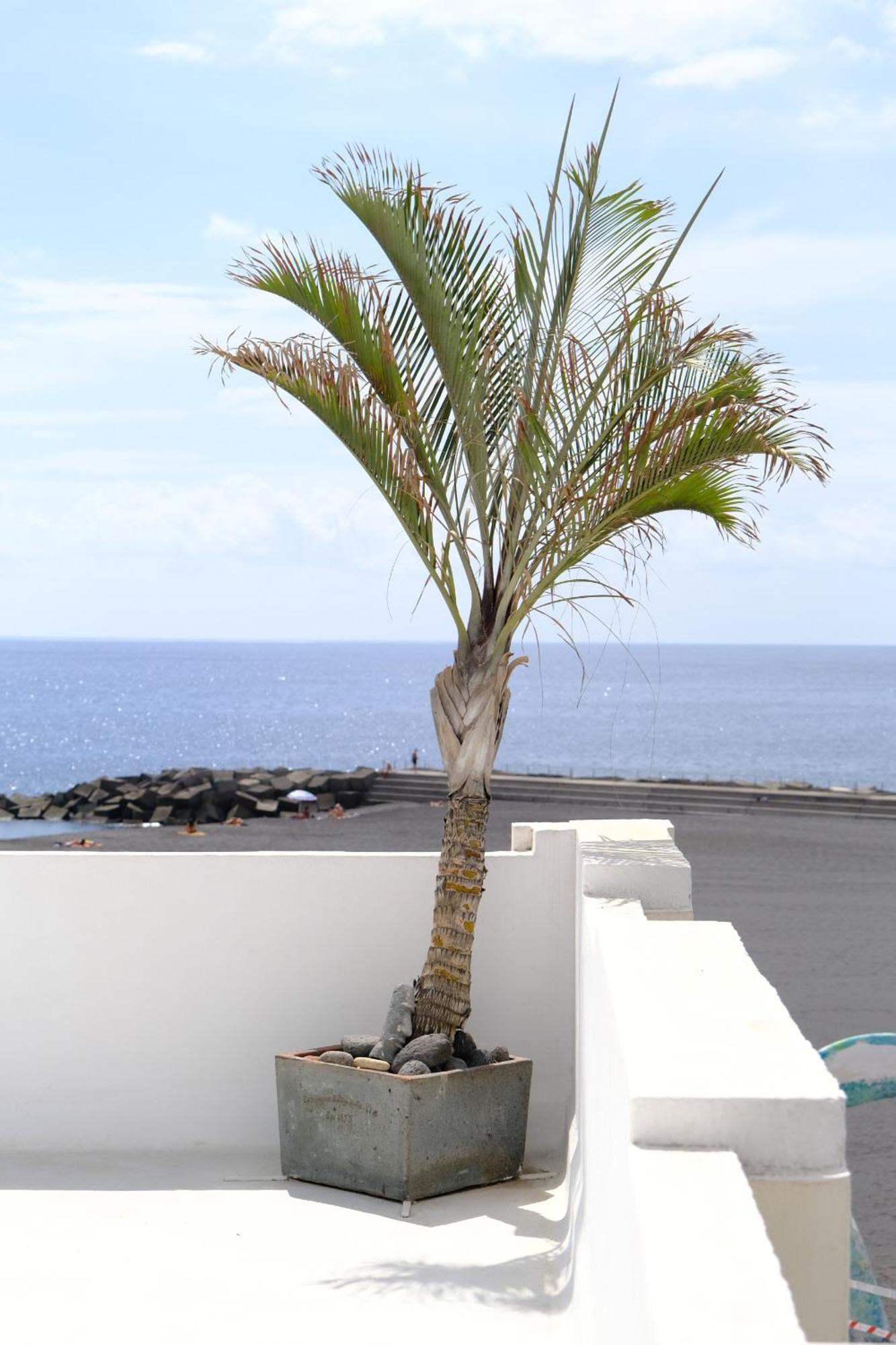 Rooftop Dreamhouse - 3Br With Seaviews Santa Cruz de la Palma  Esterno foto